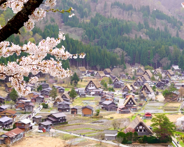 日本北陸旅遊推薦-合掌村瞭望台