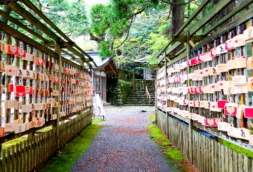  璀璨北陸–飛驒高山、合掌村、金澤市區、加賀溫泉7日遊